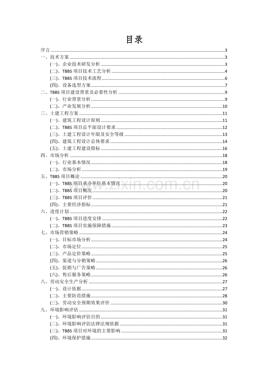 TBBS项目深度研究分析报告.docx_第2页