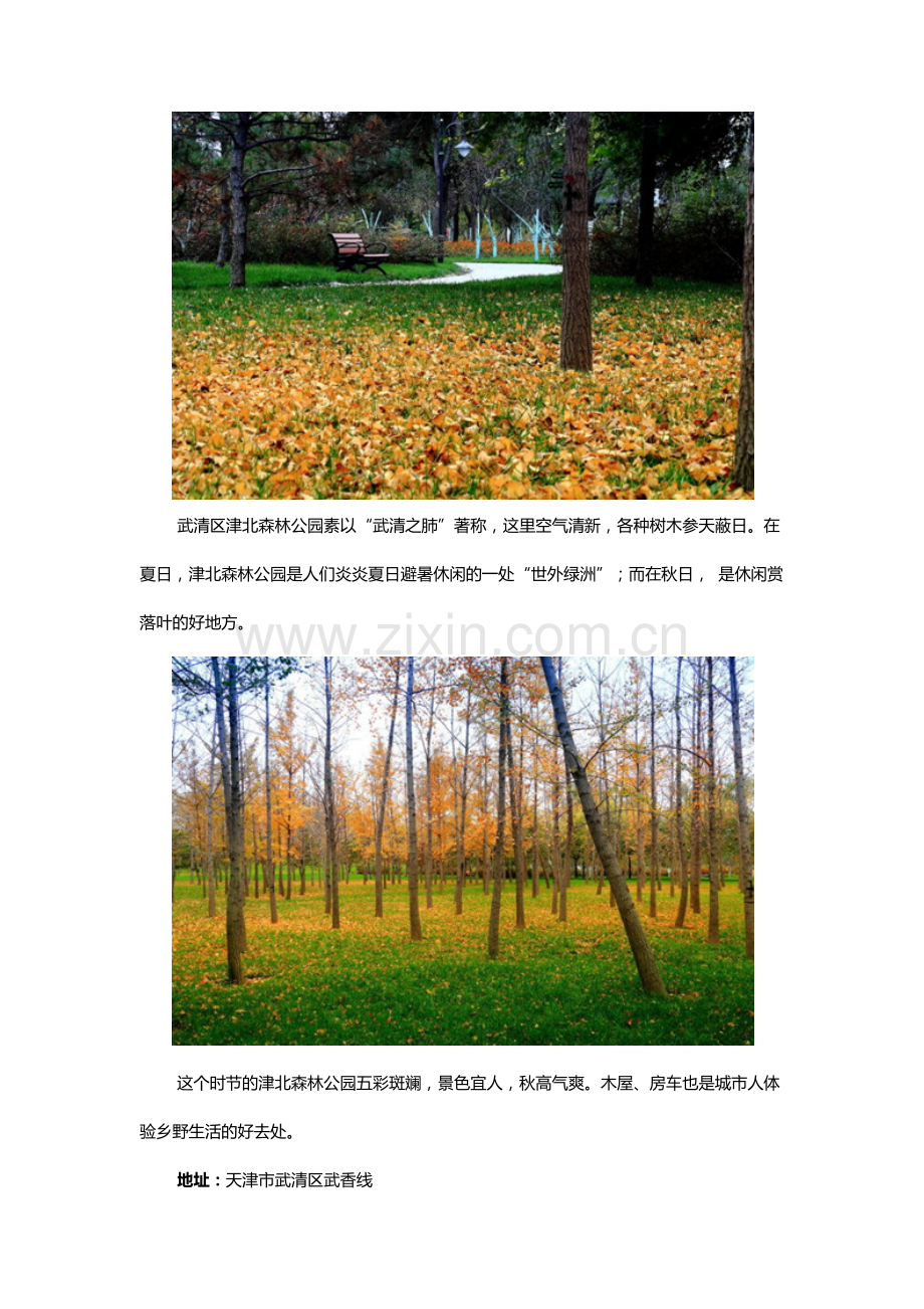 层林尽染处,赏秋正当时.doc_第2页