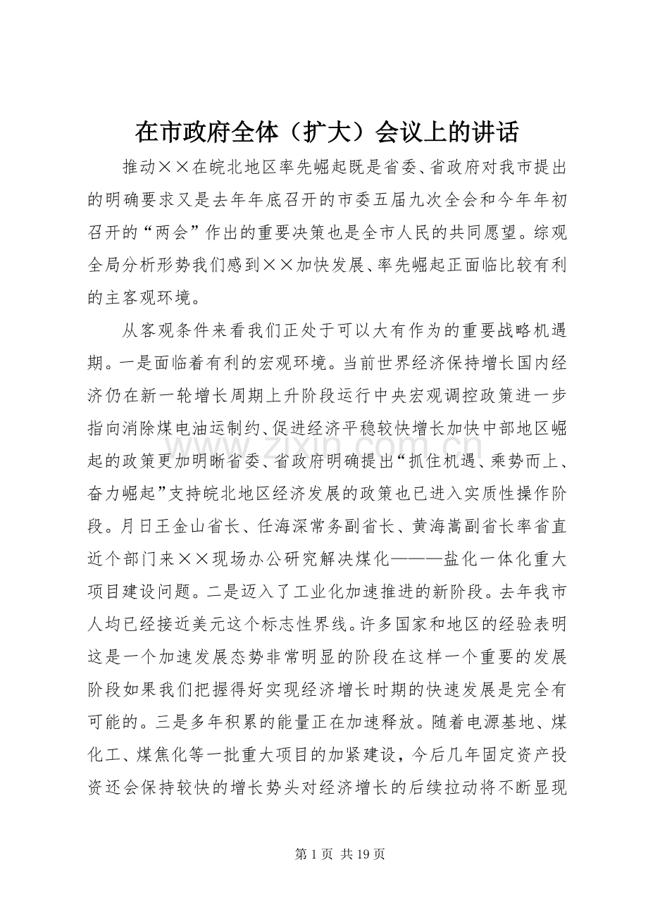 在市政府全体（扩大）会议上的讲话发言.docx_第1页