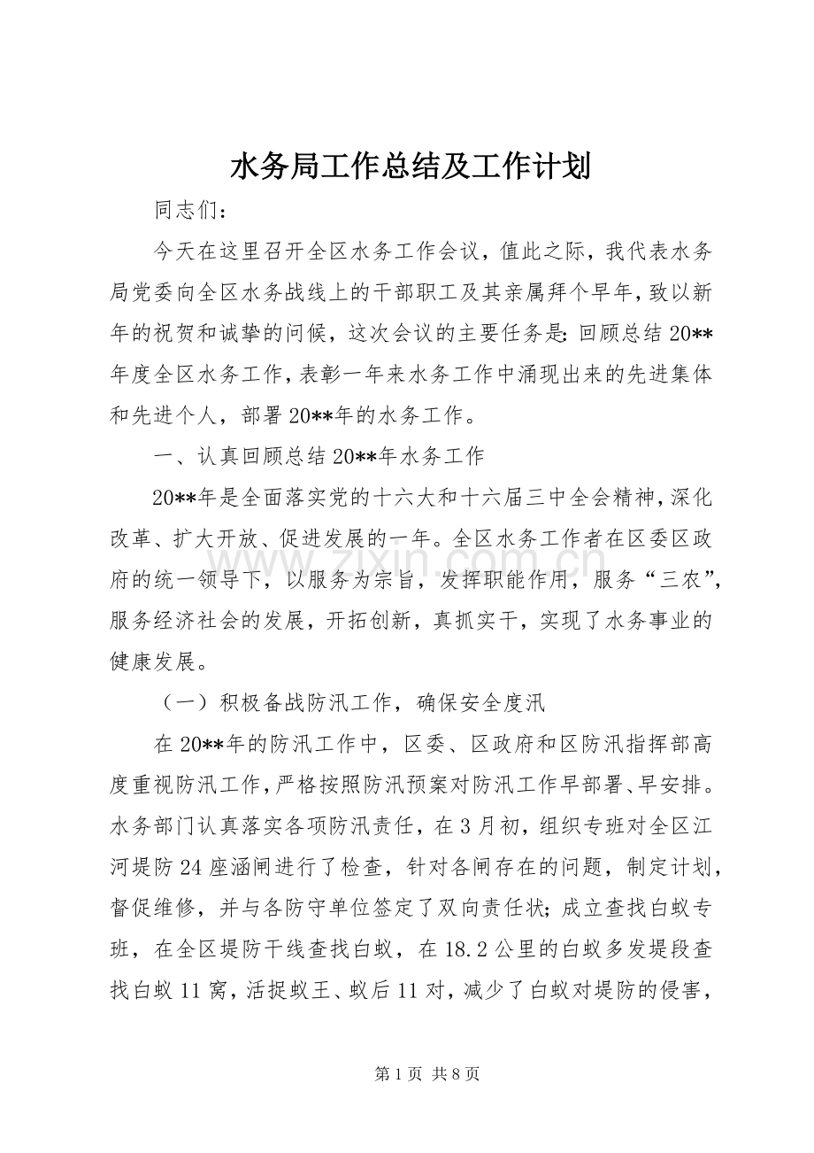 水务局工作总结及工作计划.docx_第1页