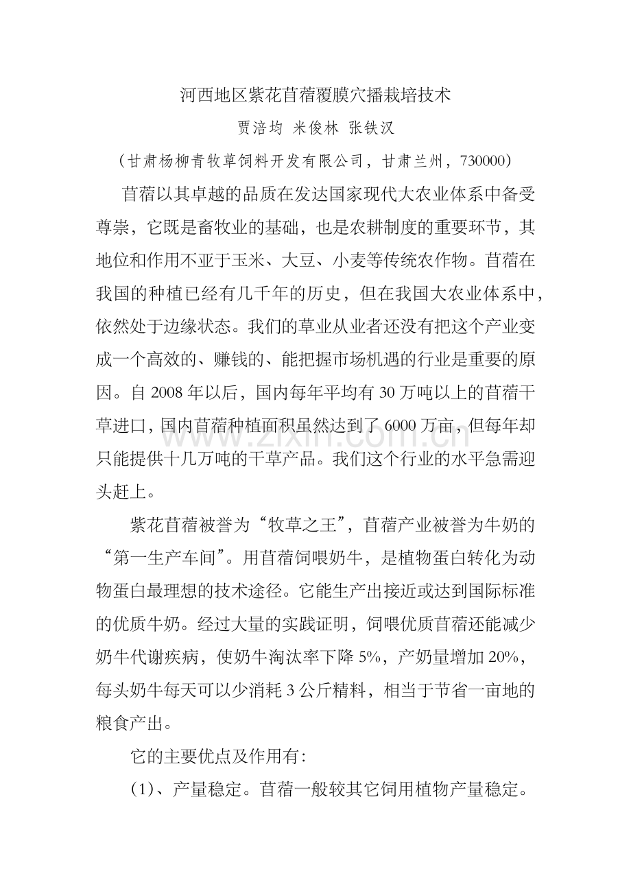 河西地区紫花苜蓿覆膜穴播栽培技术.docx_第1页