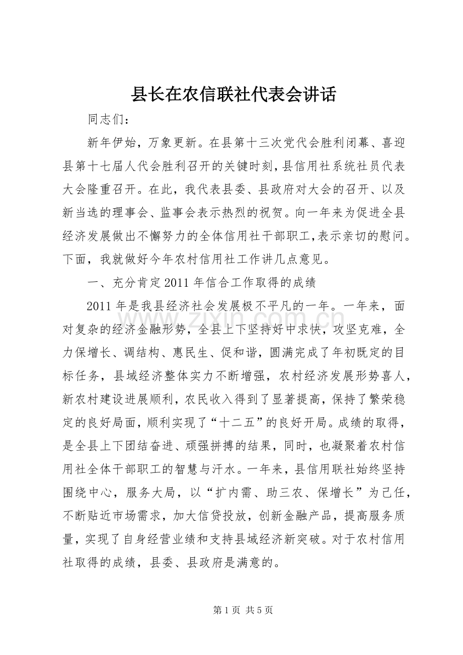 县长在农信联社代表会讲话发言.docx_第1页