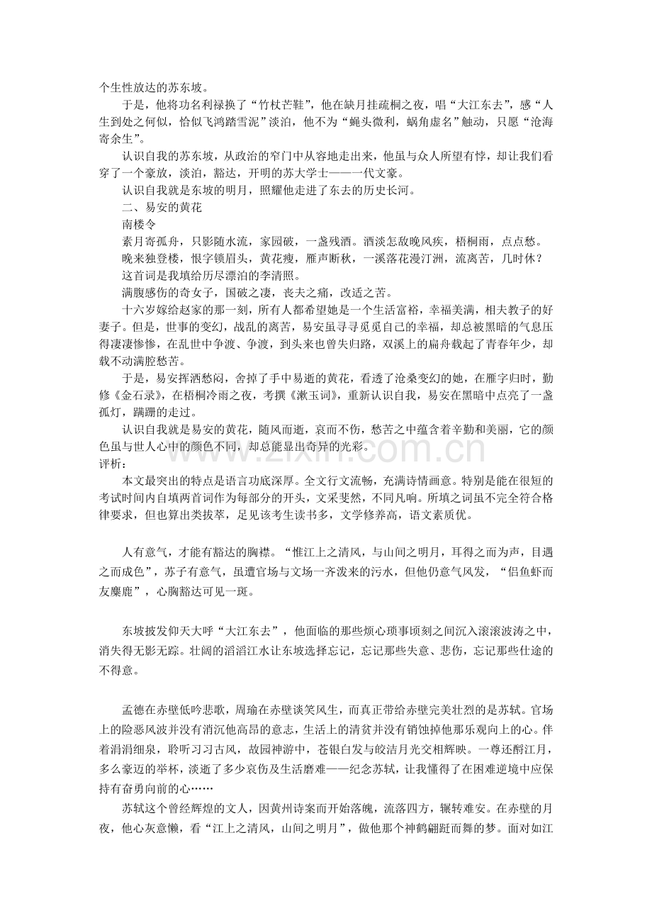 高考作文赏析(描写苏轼).doc_第2页