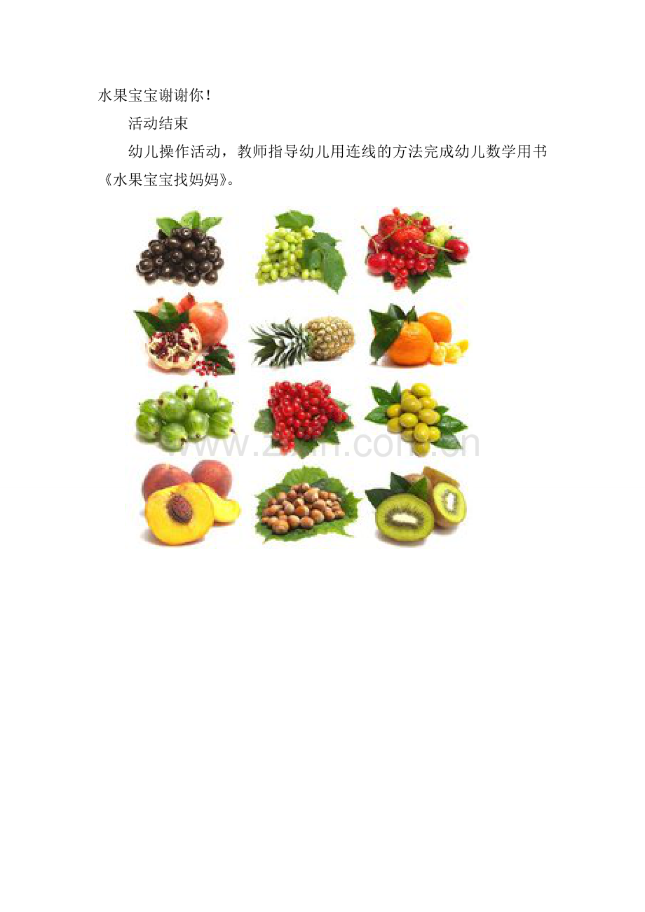 小班科学活动：水果宝宝找妈妈2.doc_第2页