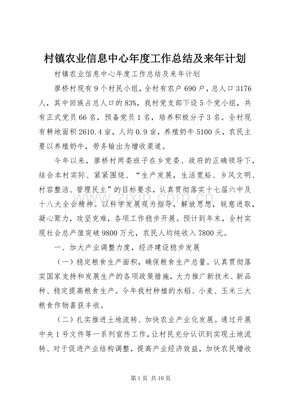 村镇农业信息中心年度工作总结及来年计划.docx_第1页