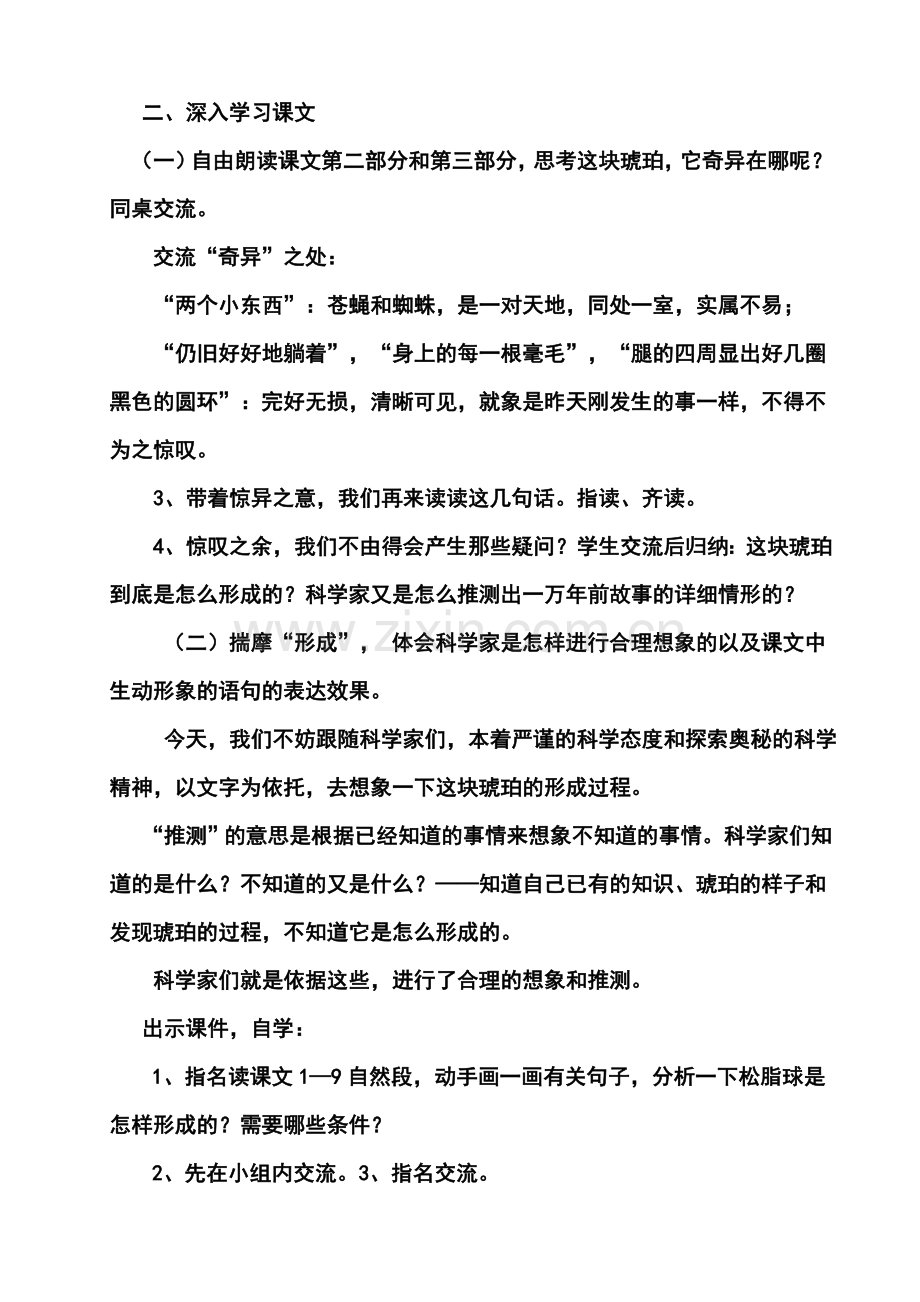 琥珀教学设计.doc_第2页