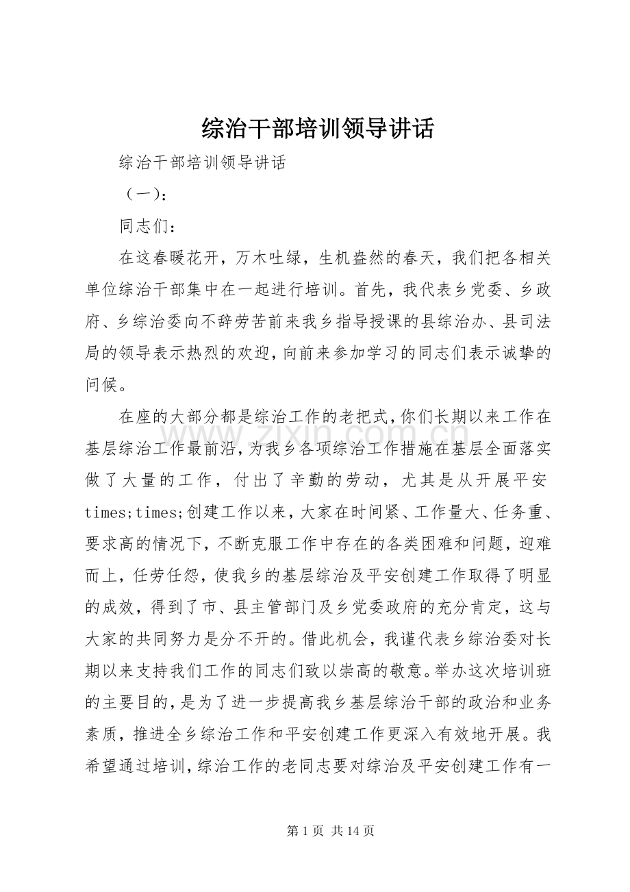 综治干部培训领导讲话发言.docx_第1页