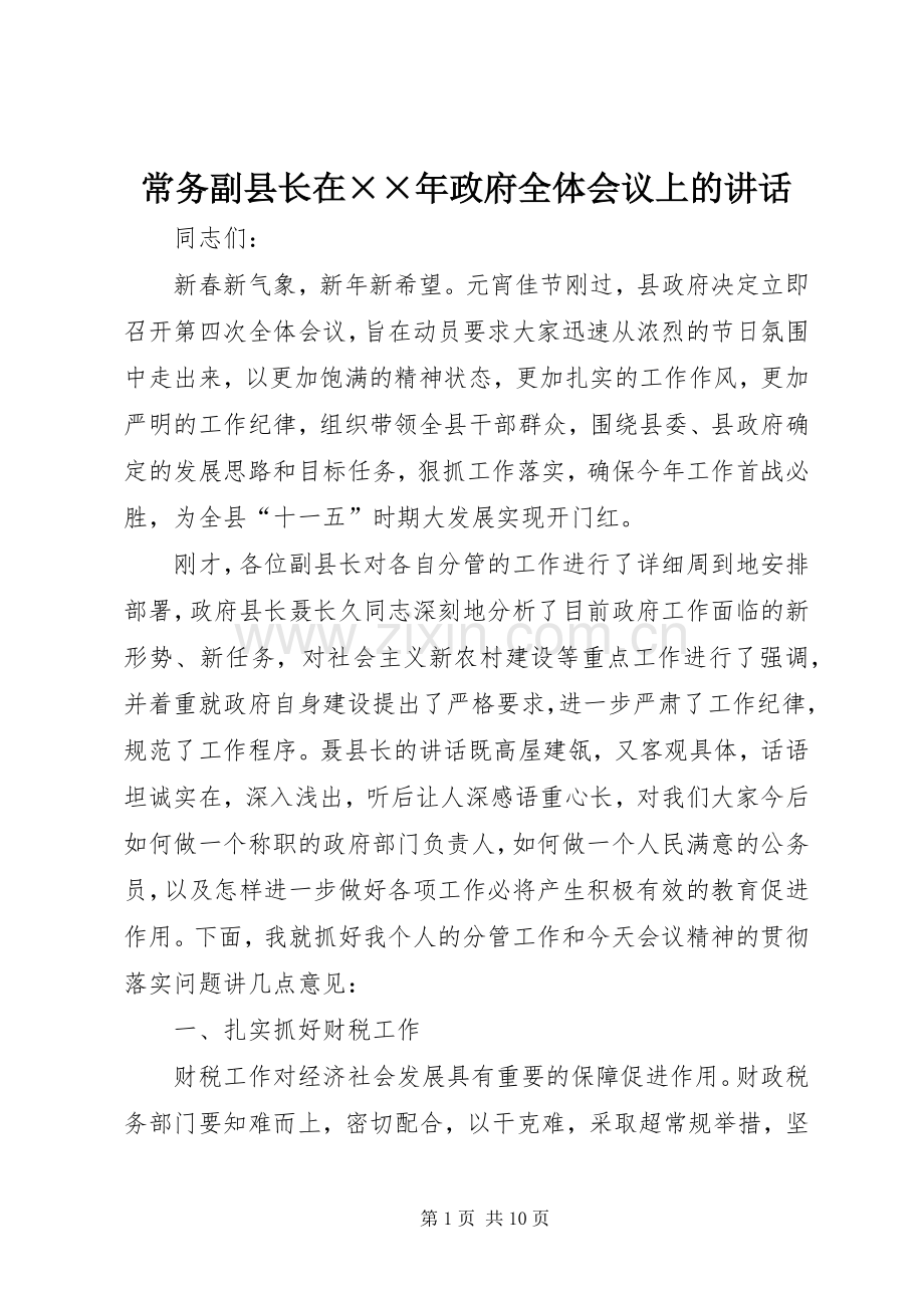 常务副县长在××年政府全体会议上的讲话发言.docx_第1页