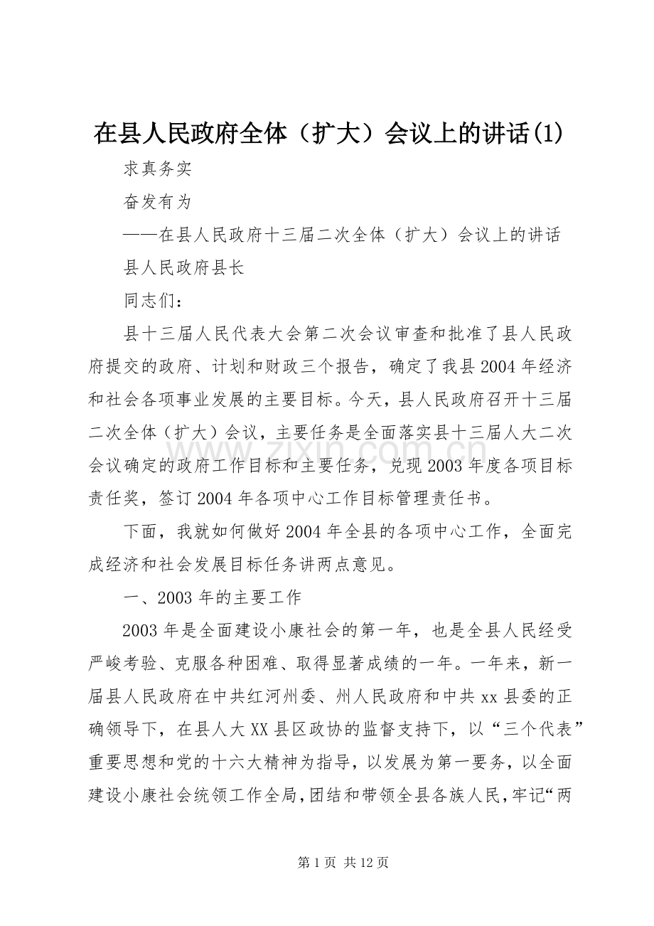 在县人民政府全体（扩大）会议上的讲话发言(1).docx_第1页
