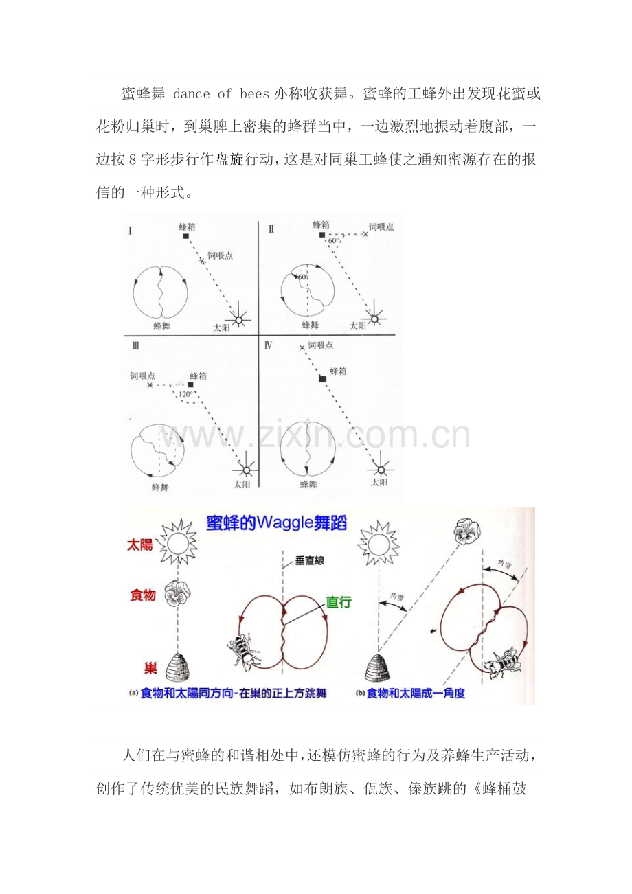 蜂产品常识三文化2 蜜蜂之歌 蜜蜂舞蹈 蜜蜂影视.doc_第2页