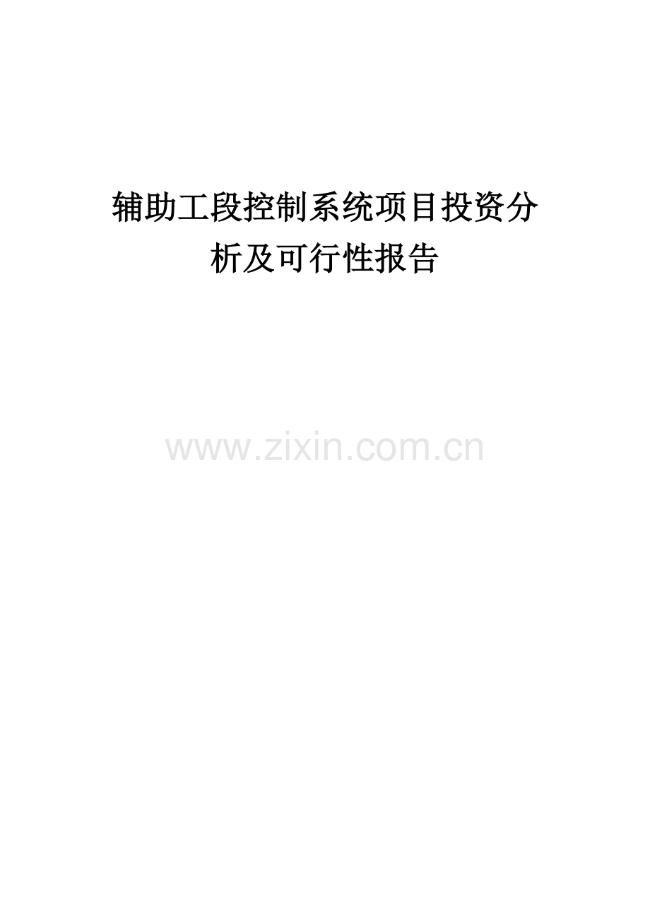 辅助工段控制系统项目投资分析及可行性报告.docx_第1页