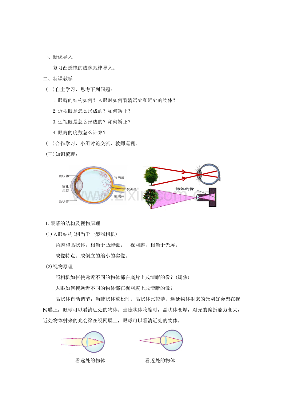 八年级物理上册 5.4《眼睛和眼镜》教学设计 （新版）新人教版-（新版）新人教版初中八年级上册物理教案.doc_第2页