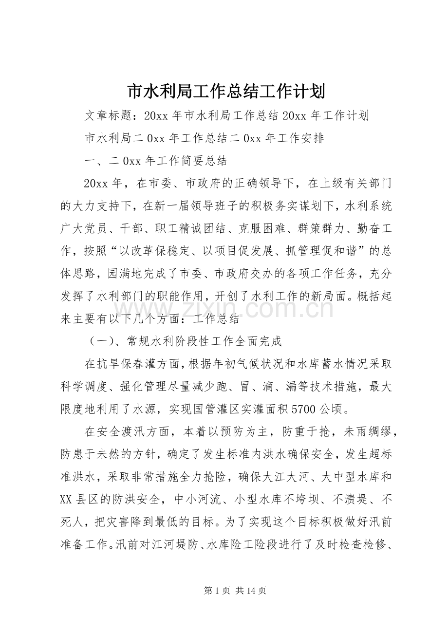 市水利局工作总结工作计划.docx_第1页