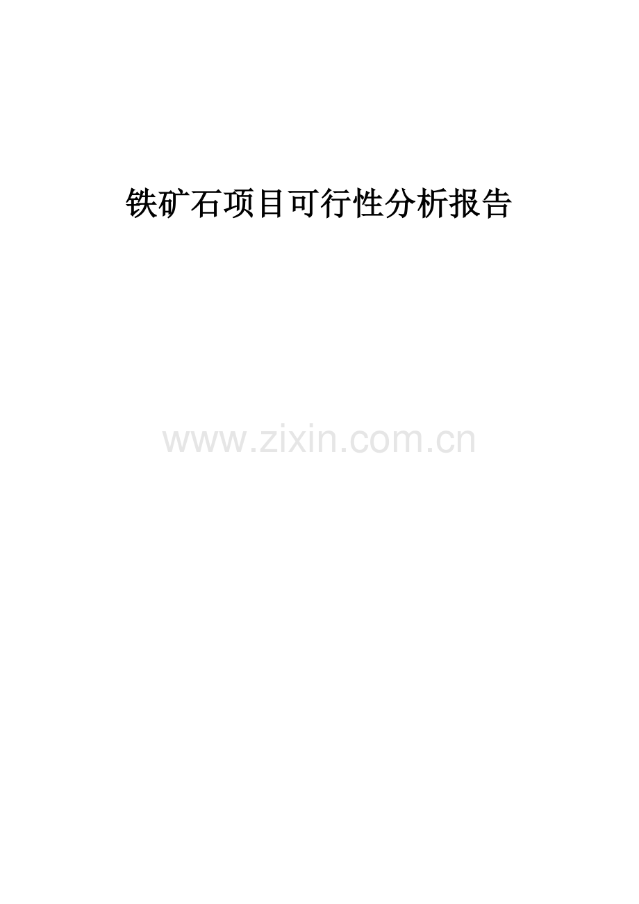 铁矿石项目可行性分析报告.docx_第1页