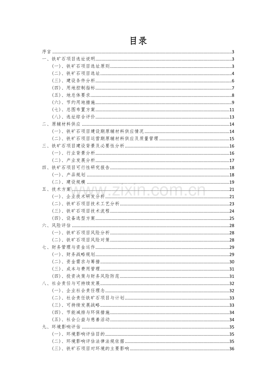 铁矿石项目可行性分析报告.docx_第2页