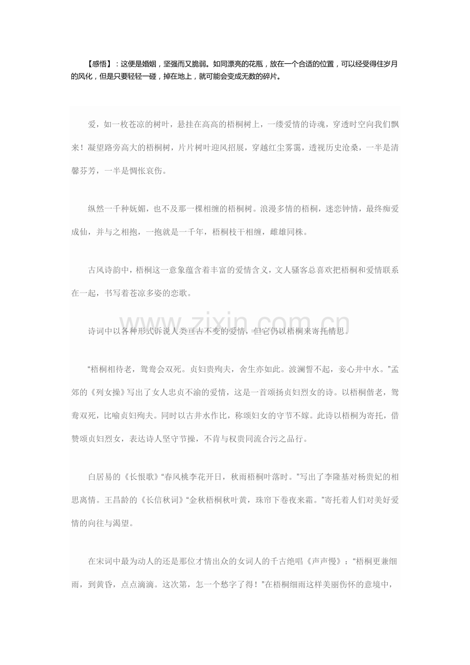 我在梧桐树下等你,成就梧桐树之恋.doc_第2页