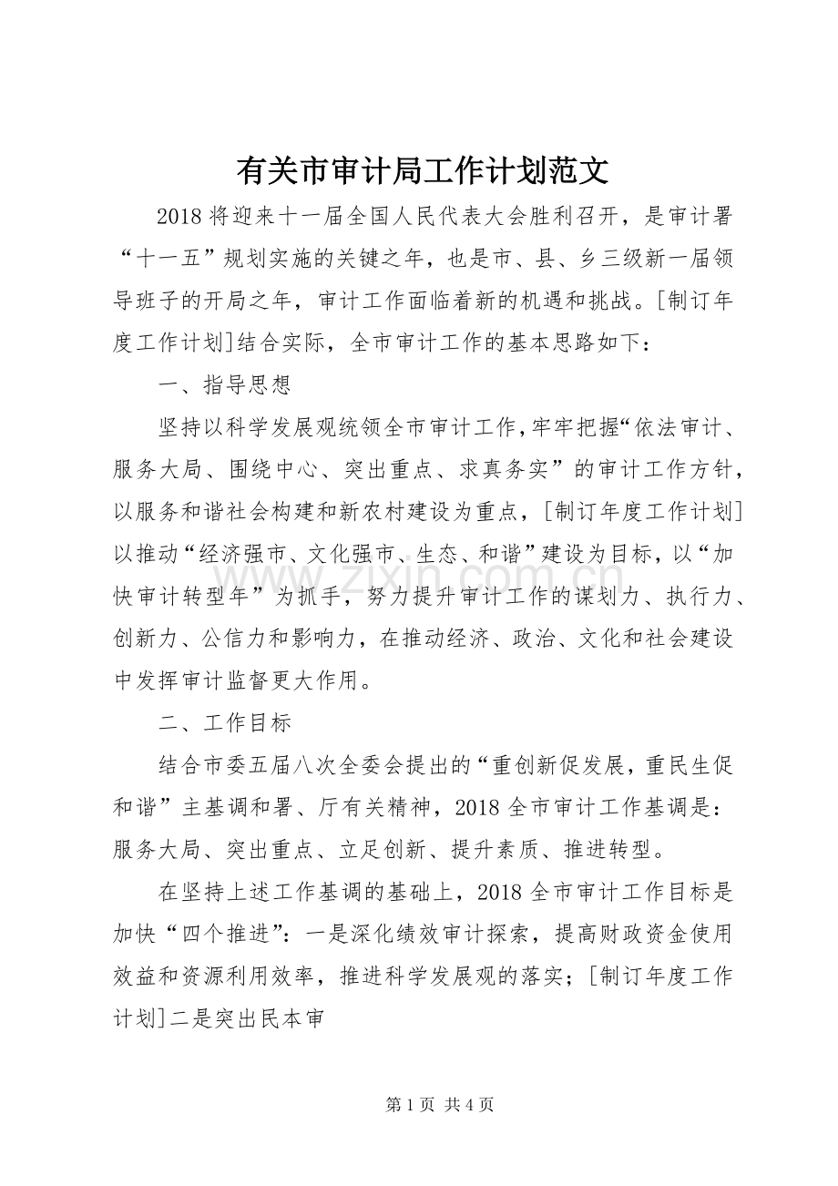 有关市审计局工作计划范文.docx_第1页