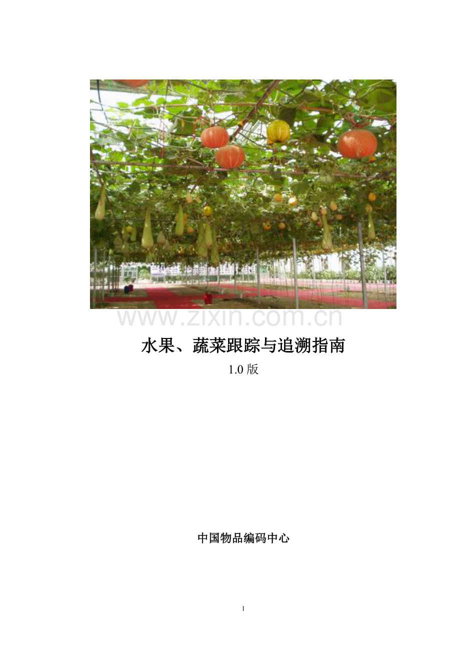 水果蔬菜跟踪与追溯指南-中国物品编码中心汇总.doc_第1页