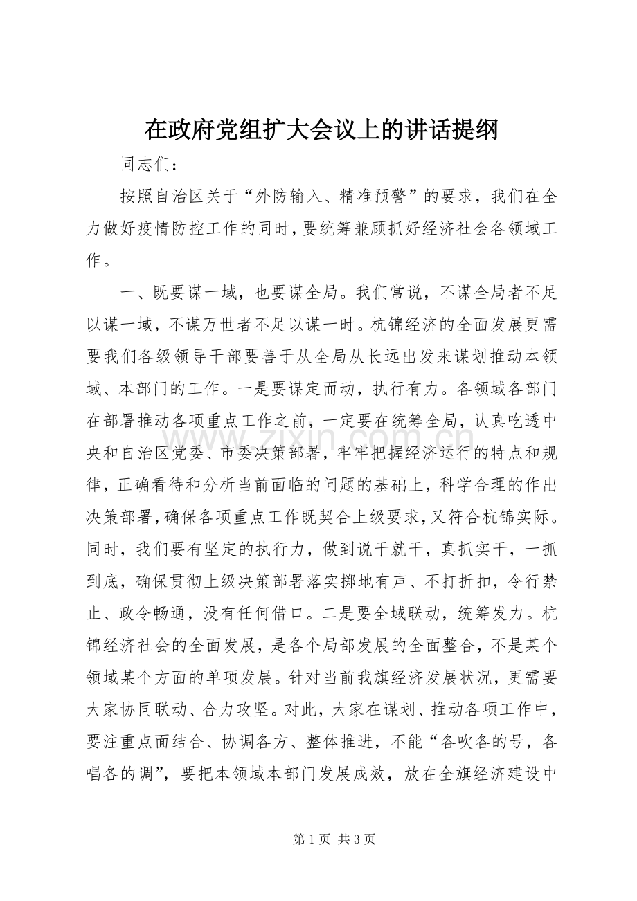 在政府党组扩大会议上的讲话发言提纲.docx_第1页