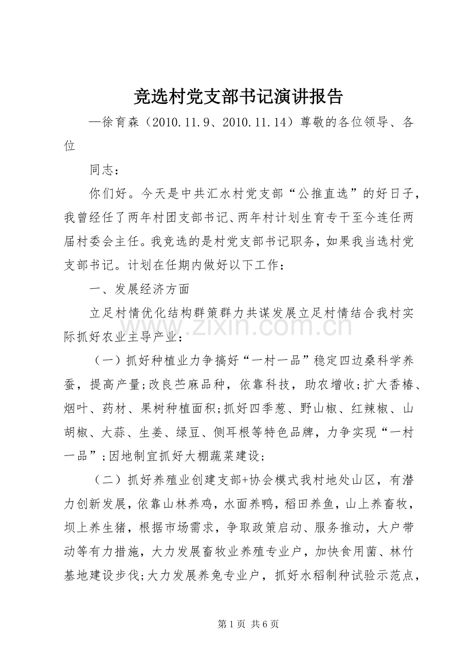 竞选村党支部书记演讲稿报告.docx_第1页
