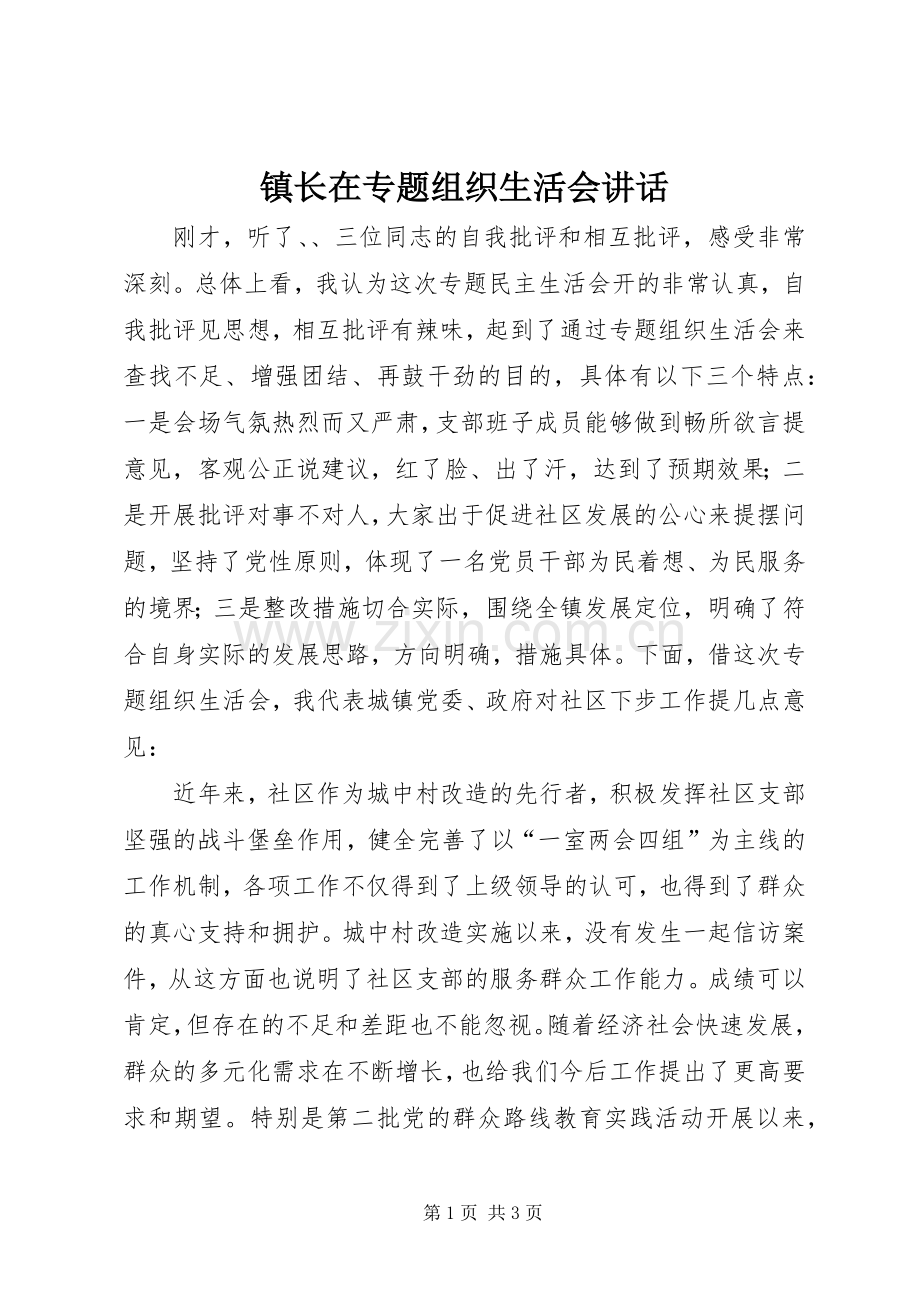 镇长在专题组织生活会讲话发言.docx_第1页