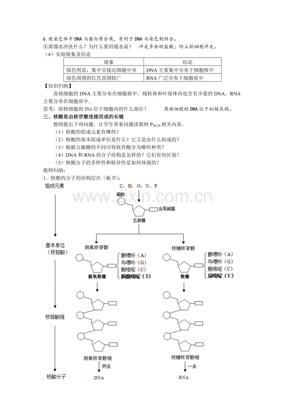 遗传信息的携带者—核酸教案.doc_第2页