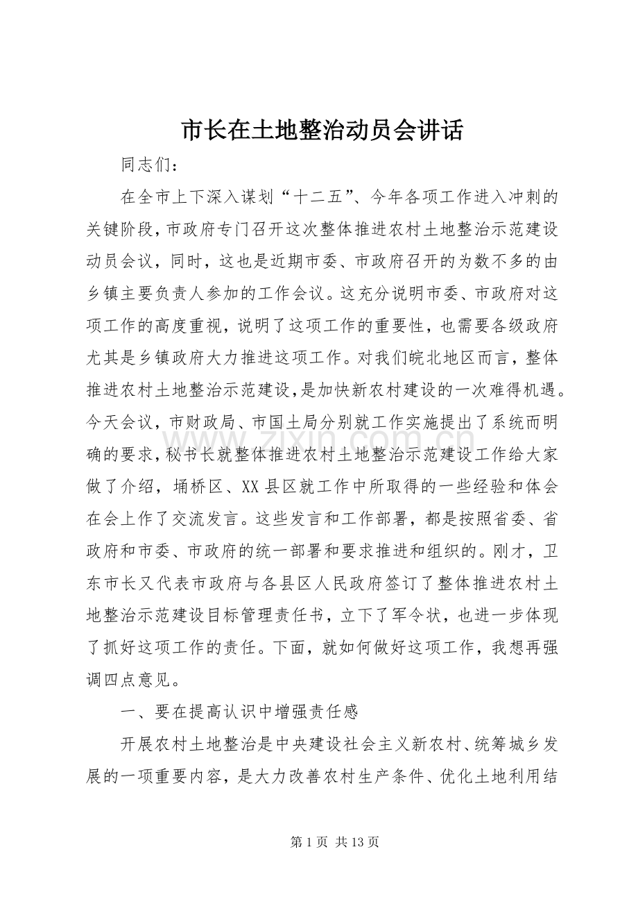 市长在土地整治动员会讲话发言.docx_第1页