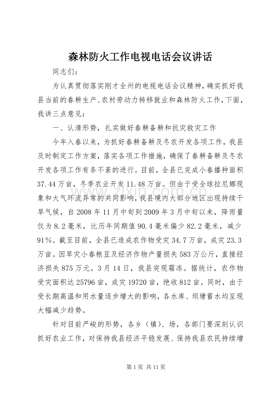 森林防火工作电视电话会议讲话发言.docx_第1页