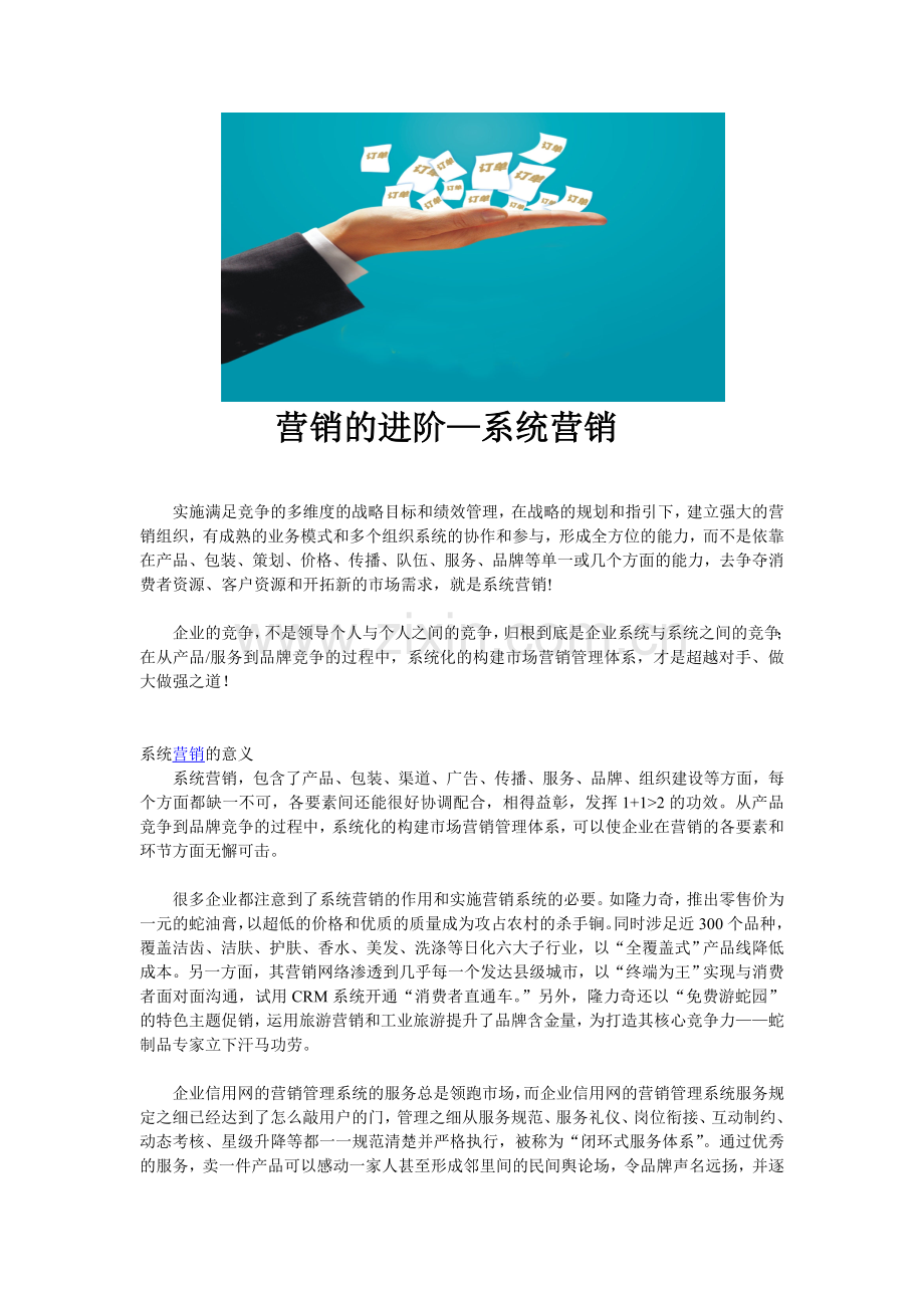 营销的进阶—系统营销.doc_第1页