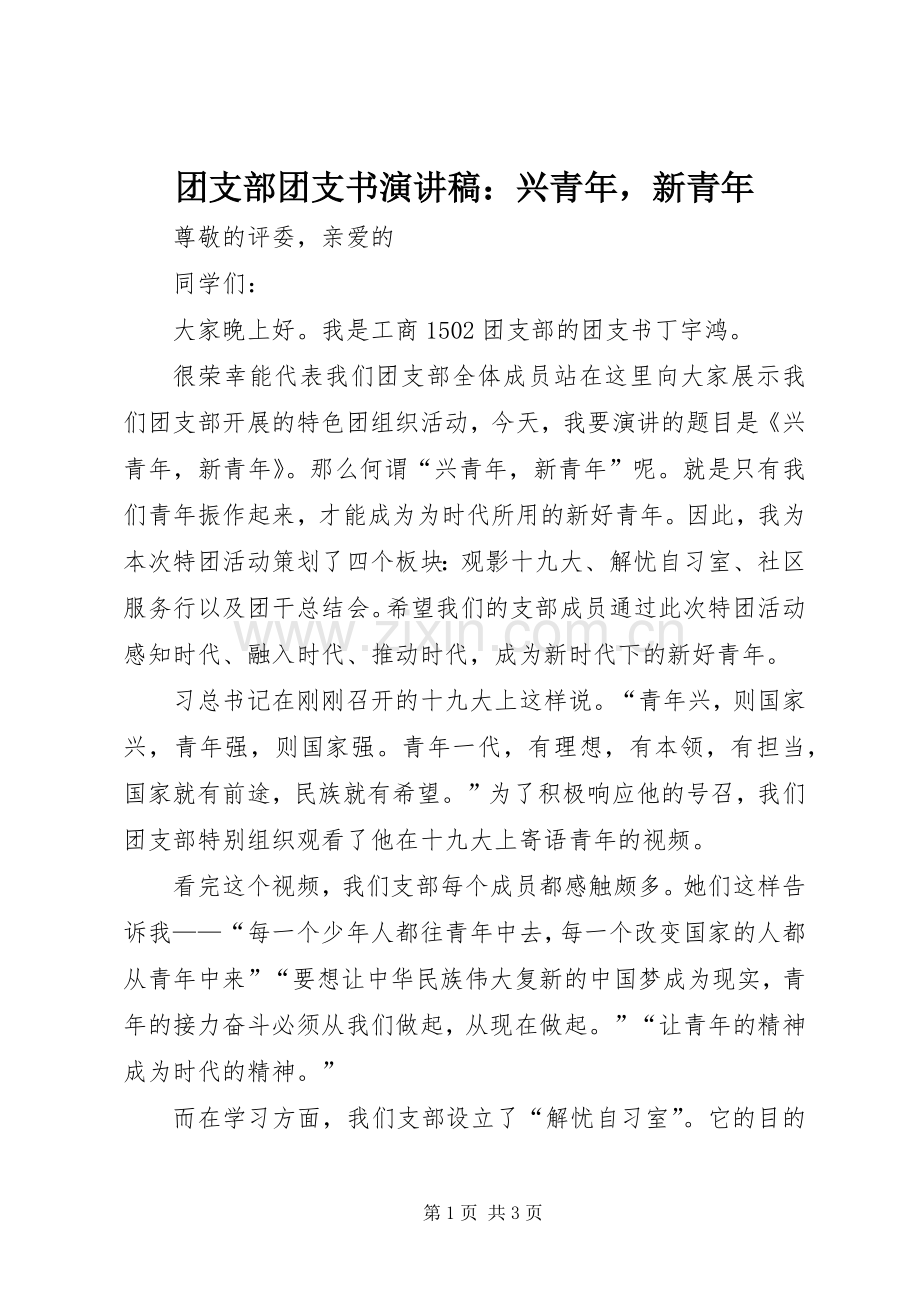 团支部团支书演讲稿范文：兴青年新青年.docx_第1页