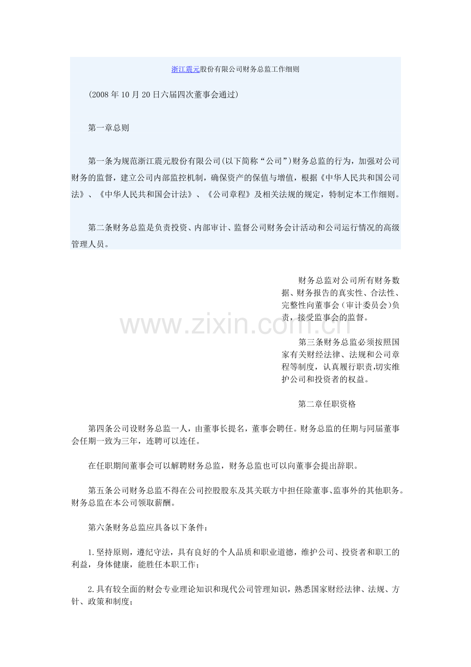 浙江震元股份有限公司财务总监工作细则.doc_第1页