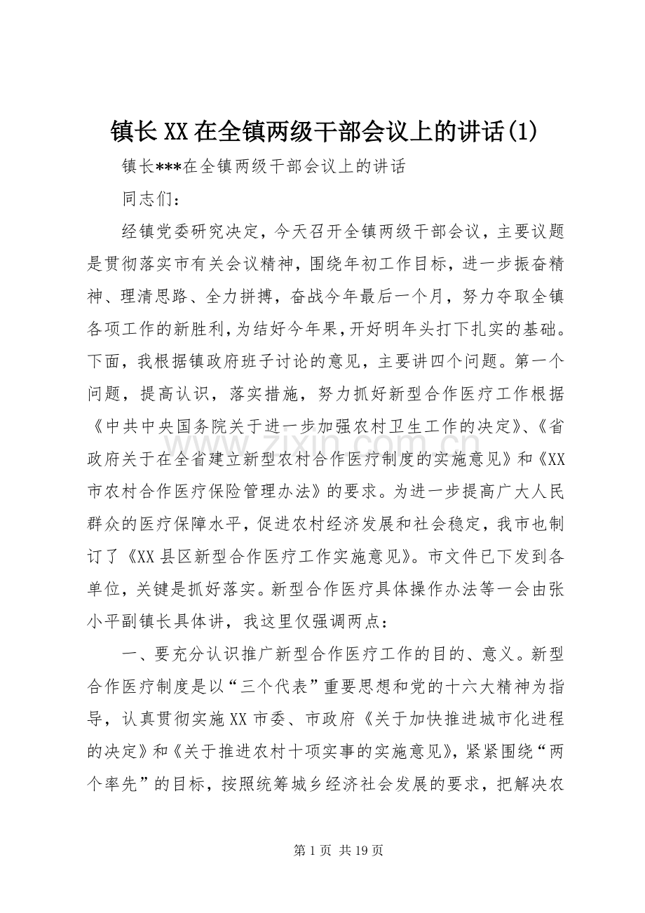 镇长XX在全镇两级干部会议上的讲话发言(1).docx_第1页