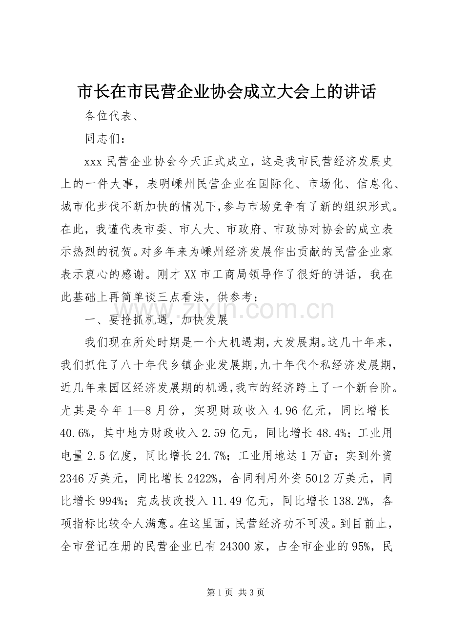 市长在市民营企业协会成立大会上的讲话发言.docx_第1页