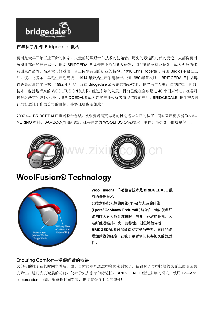 百年袜子品牌.doc_第1页