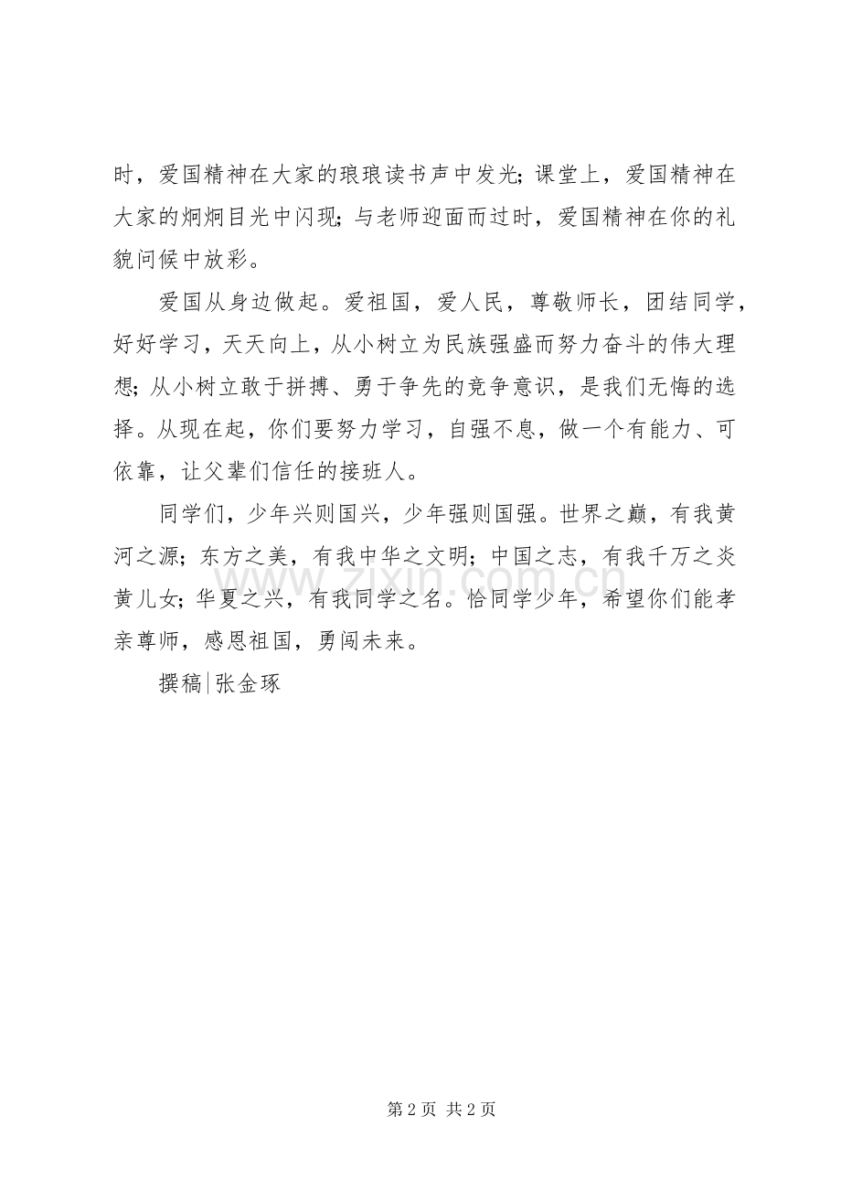 演讲爱国,从身边做起.docx_第2页