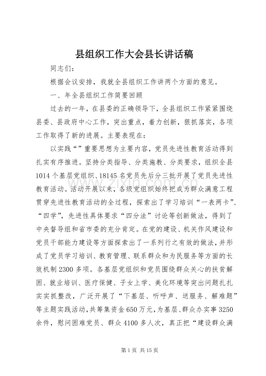 县组织工作大会县长讲话发言稿.docx_第1页