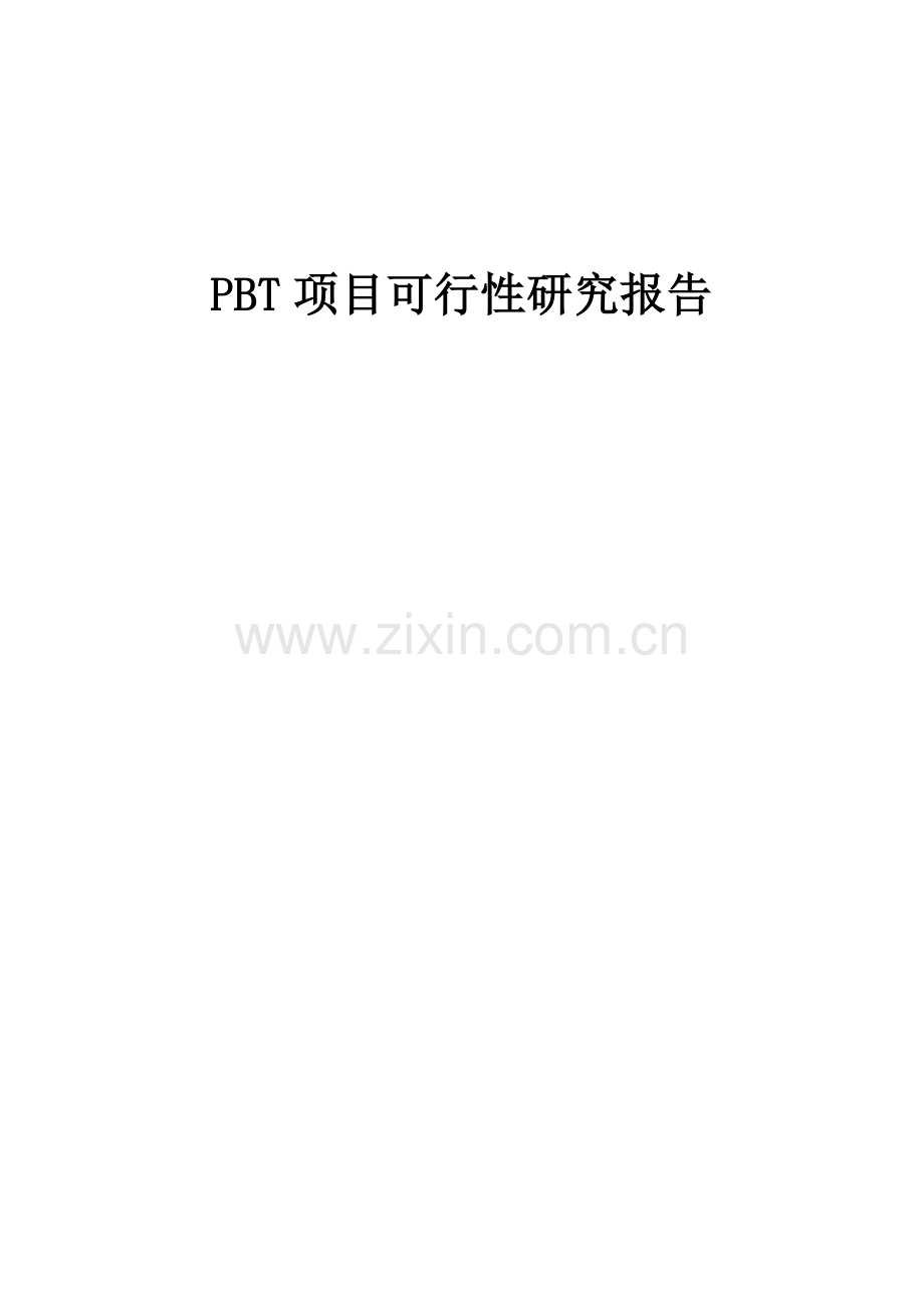 PBT项目可行性研究报告.docx_第1页