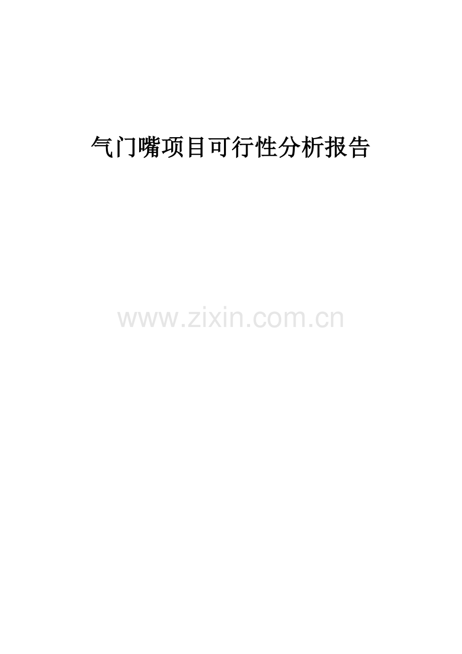 气门嘴项目可行性分析报告.docx_第1页
