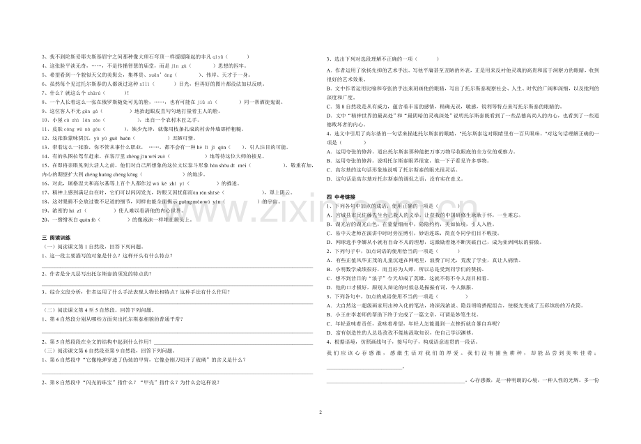 列夫托尔斯泰训练案.doc_第2页