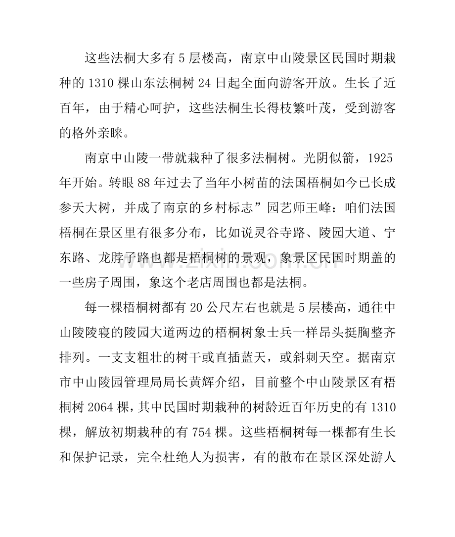 南京中山陵景区千棵近百年树龄梧桐树向游客全面开放.doc_第1页