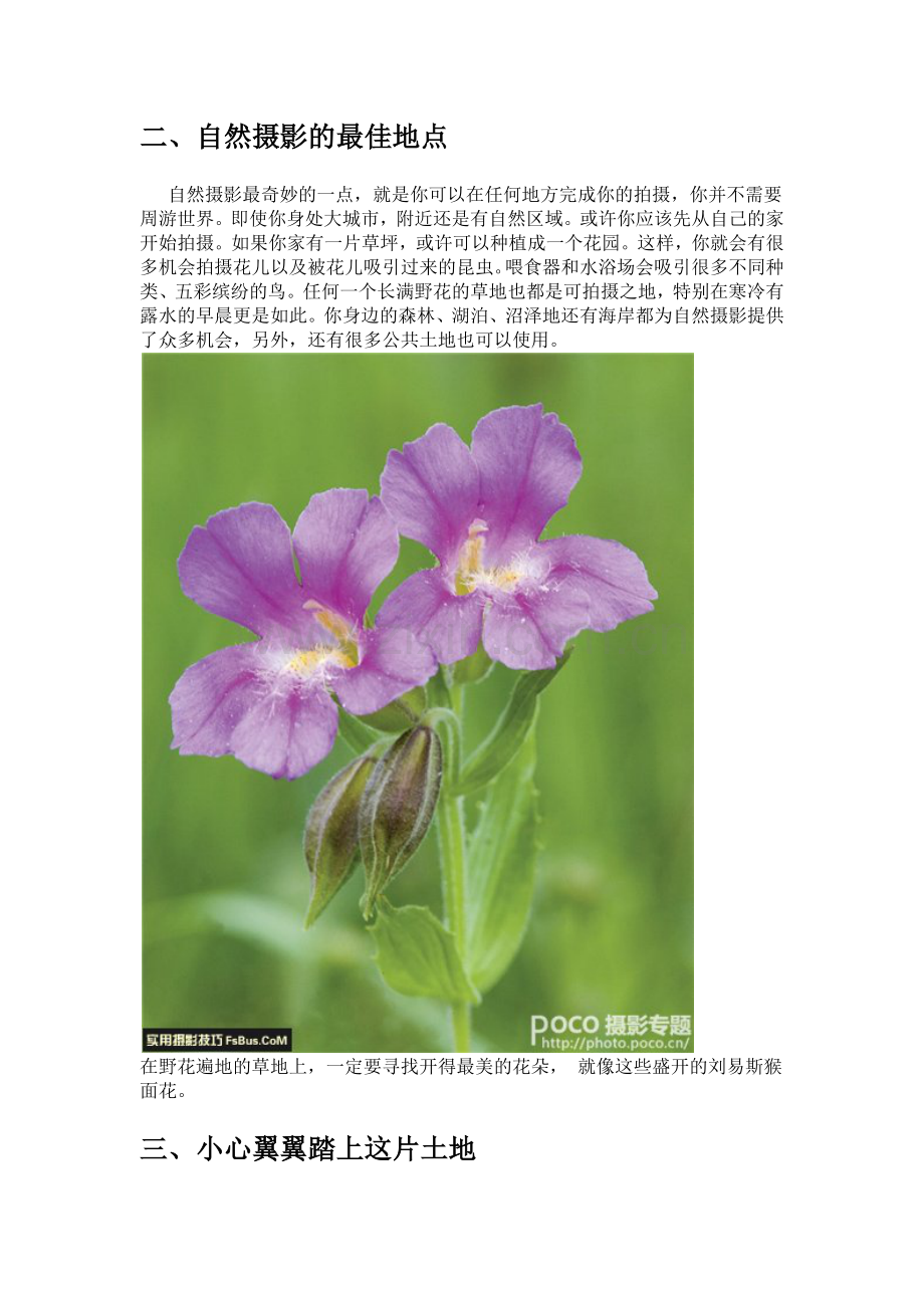 摄影必读 自然风光摄影入门教程.docx_第2页