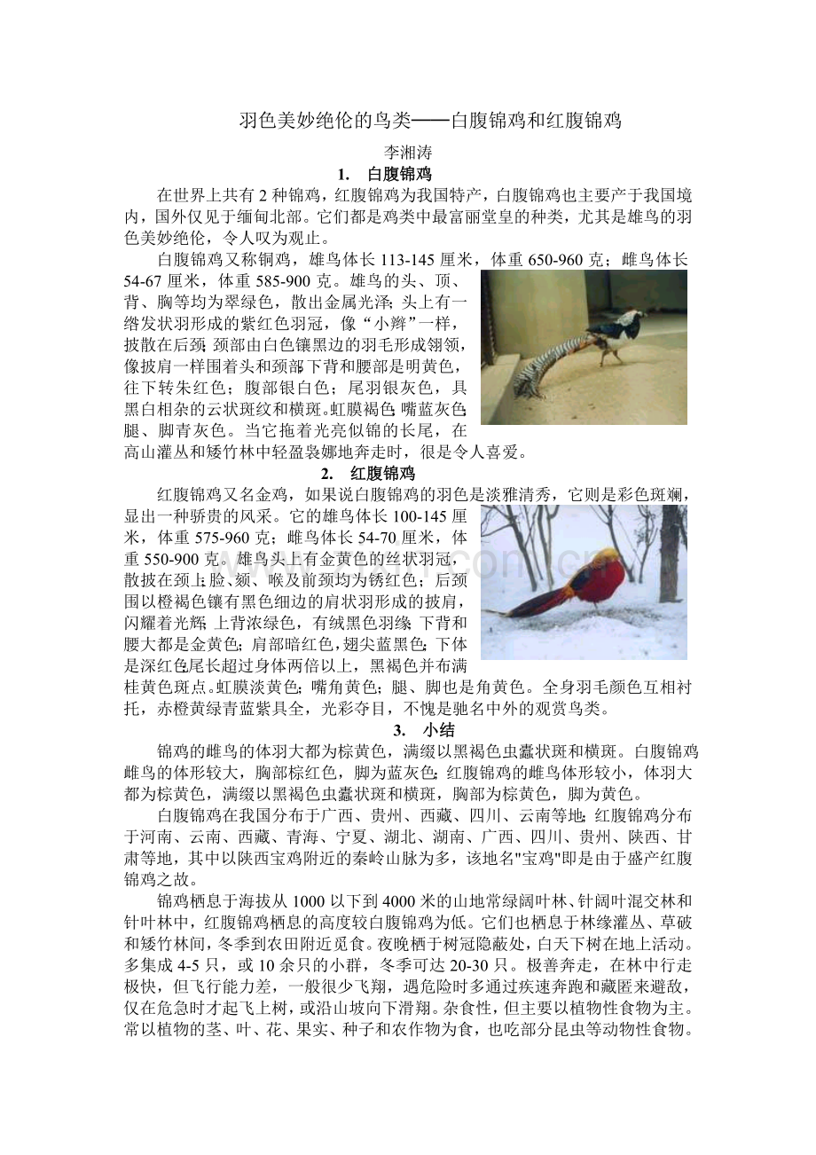 白腹锦鸡和红腹锦鸡.doc_第1页