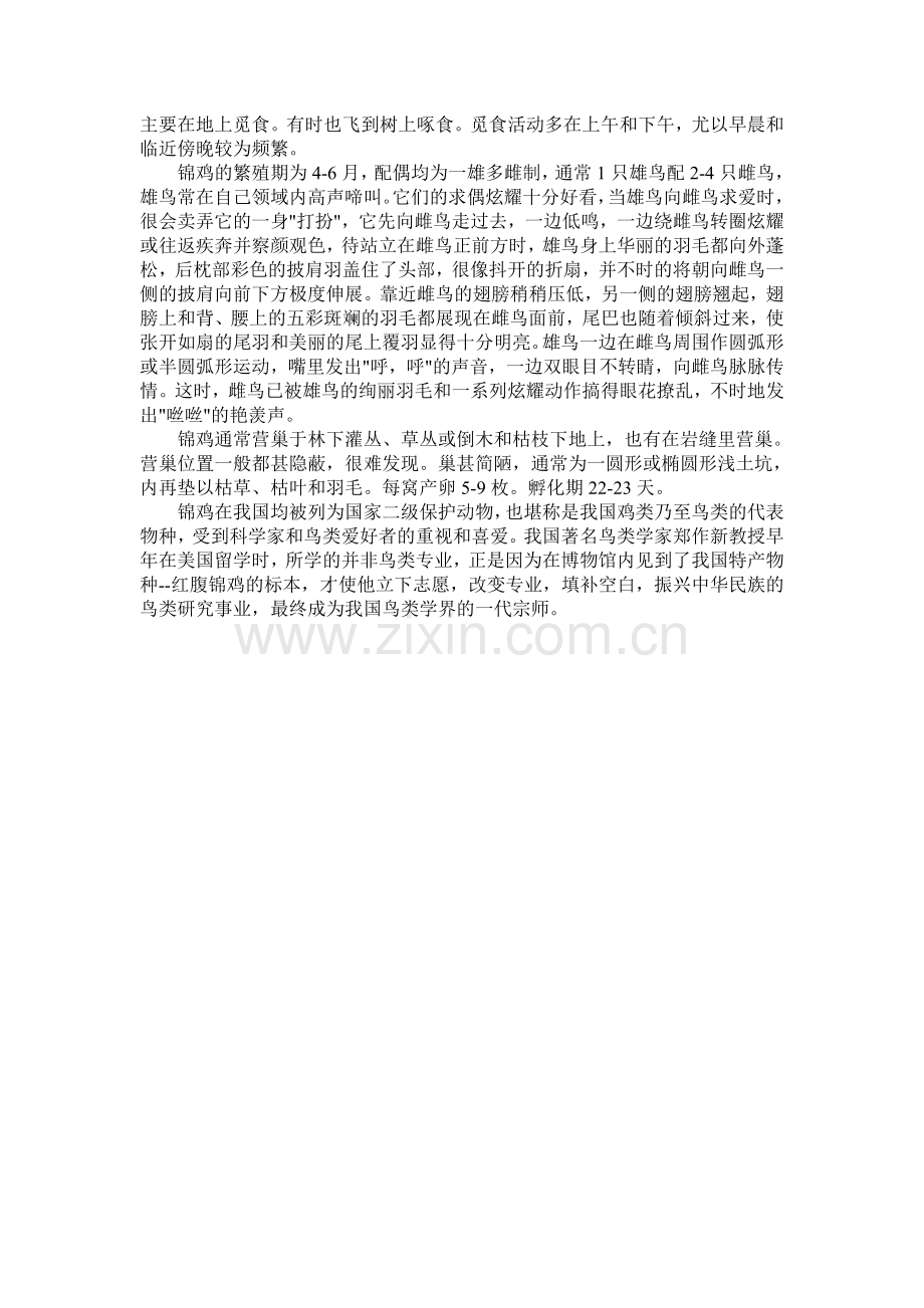 白腹锦鸡和红腹锦鸡.doc_第2页