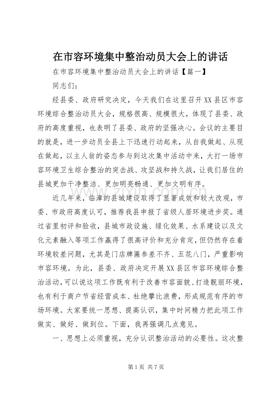 在市容环境集中整治动员大会上的讲话发言.docx_第1页