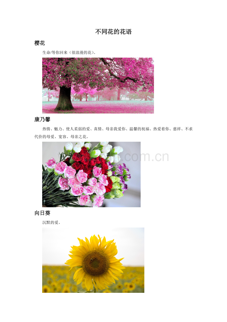 小蝴蝶花-不同花的花语.doc_第1页