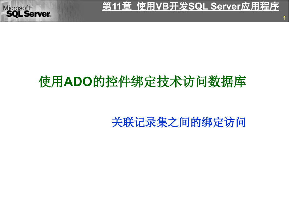 VB第11章使用VB开发SQLServer应用程序(4).ppt_第1页