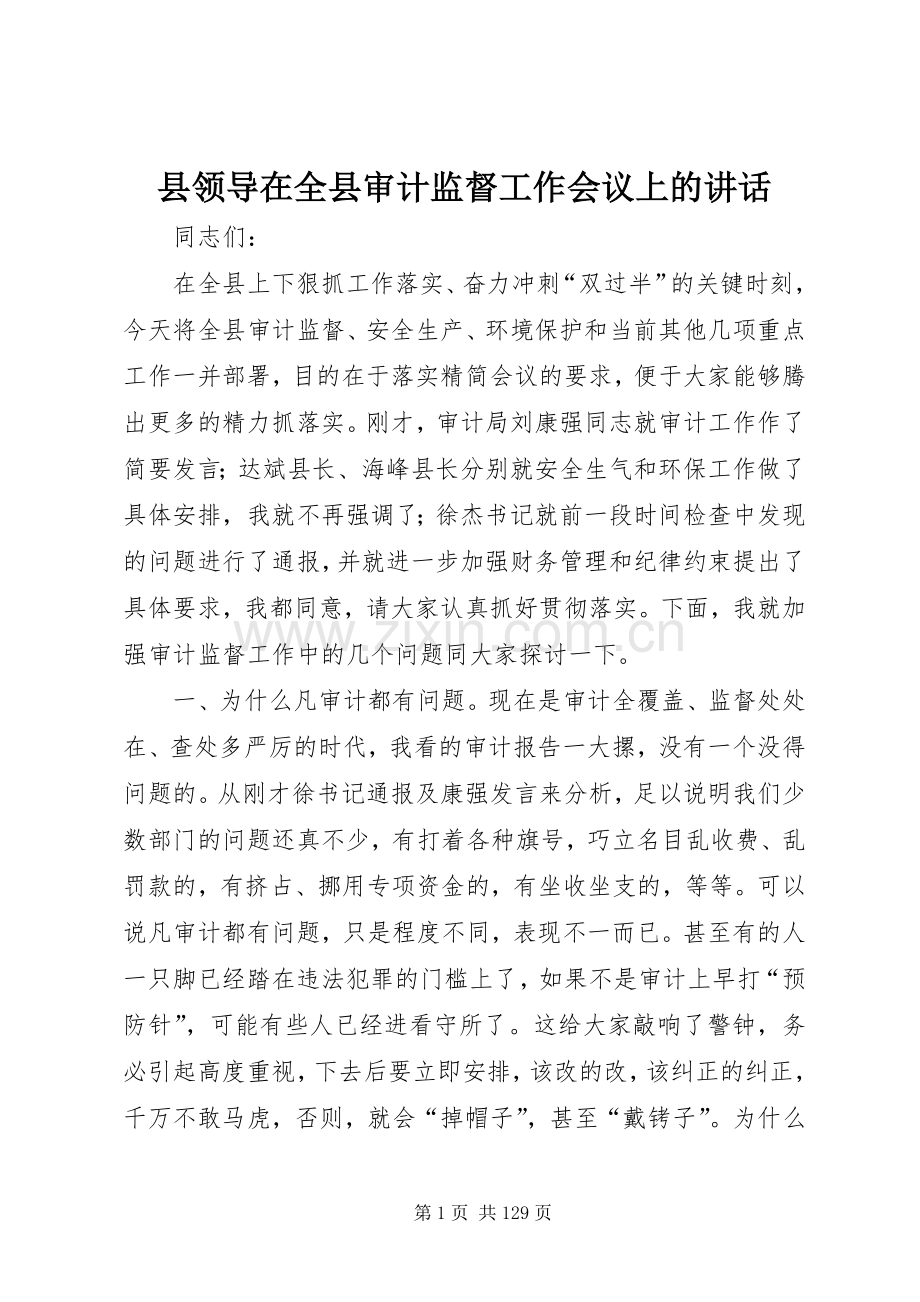 县领导在全县审计监督工作会议上的讲话发言_1.docx_第1页