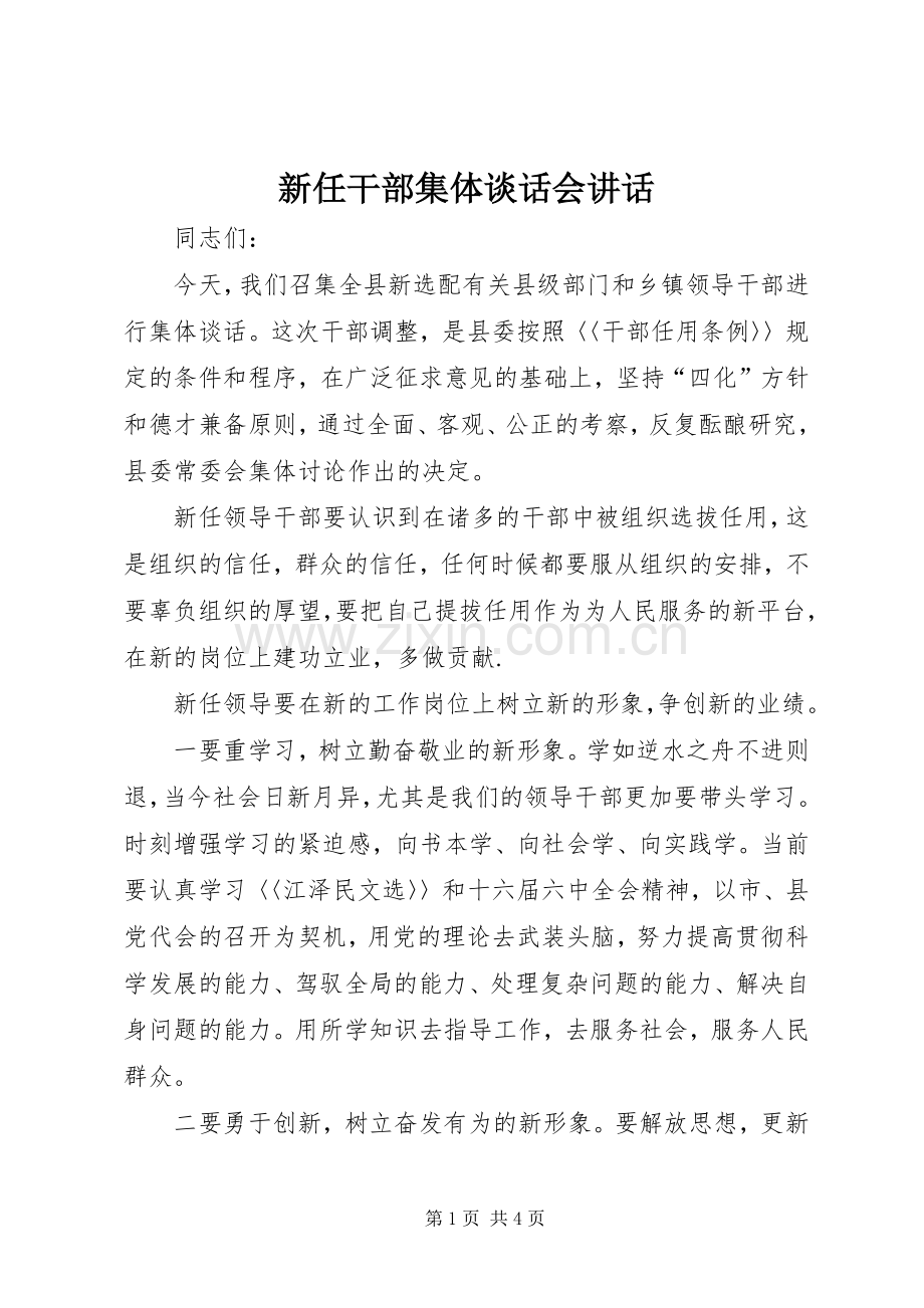 新任干部集体谈话会讲话发言.docx_第1页
