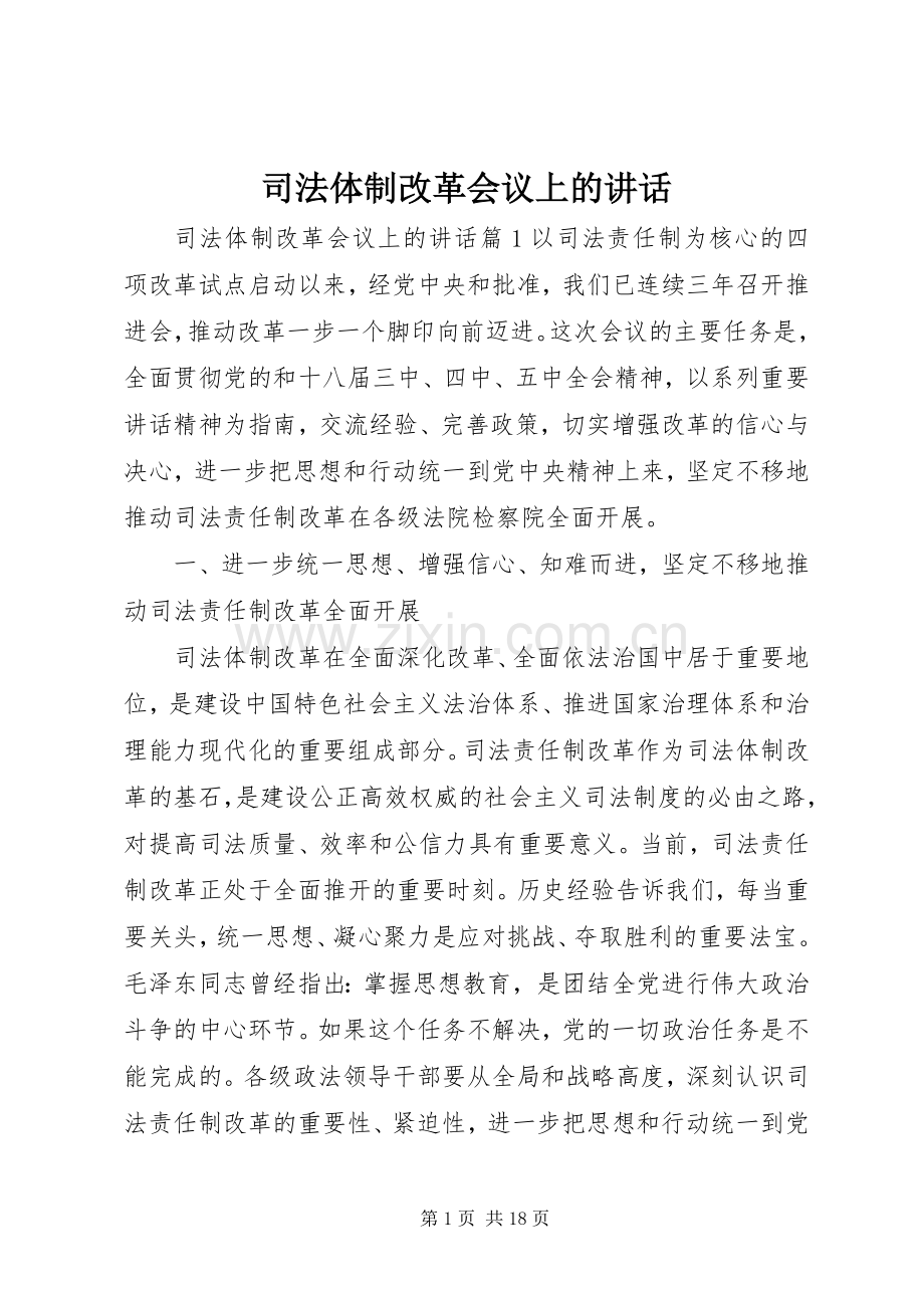 司法体制改革会议上的讲话发言.docx_第1页