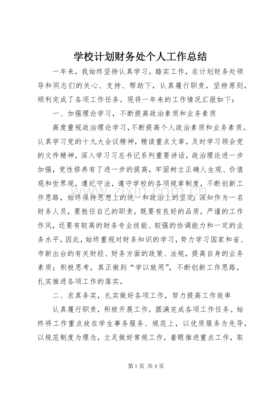 学校计划财务处个人工作总结.docx_第1页